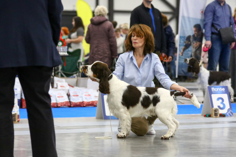 194947-03474-105067101-m750x740-u37305.j