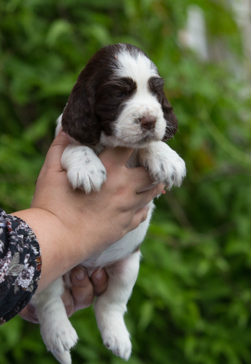 194947-07d39-103374872-m750x740-u368d2.j