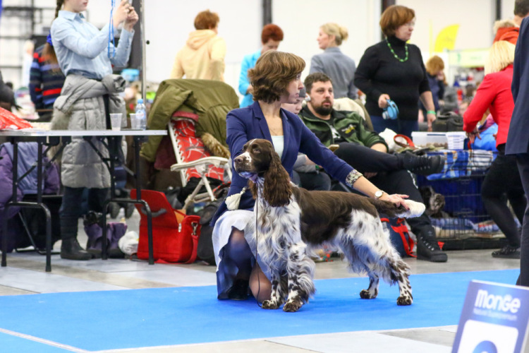 194947-118ee-105067100-m750x740-u58818.j