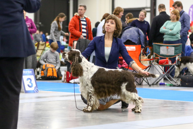 194947-17002-105067114-m750x740-uead29.j