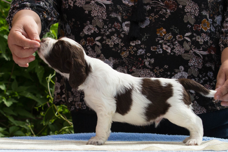 194947-1779d-103374867-m750x740-u1b84f.j