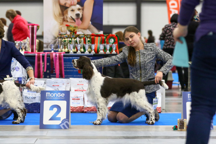 194947-193cb-105067109-m750x740-uc56c5.j