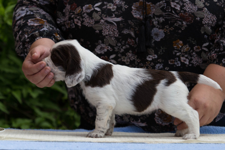 194947-34547-103374877-m750x740-u0878c.j