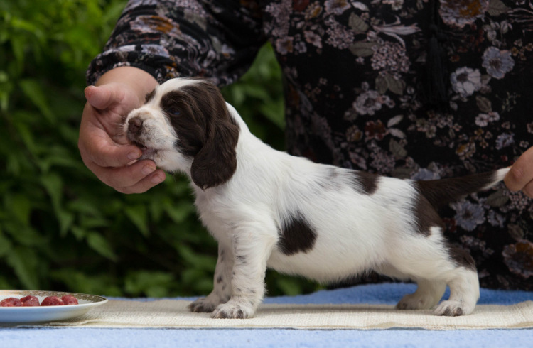 194947-37cfd-103374875-m750x740-ucbf7e.j