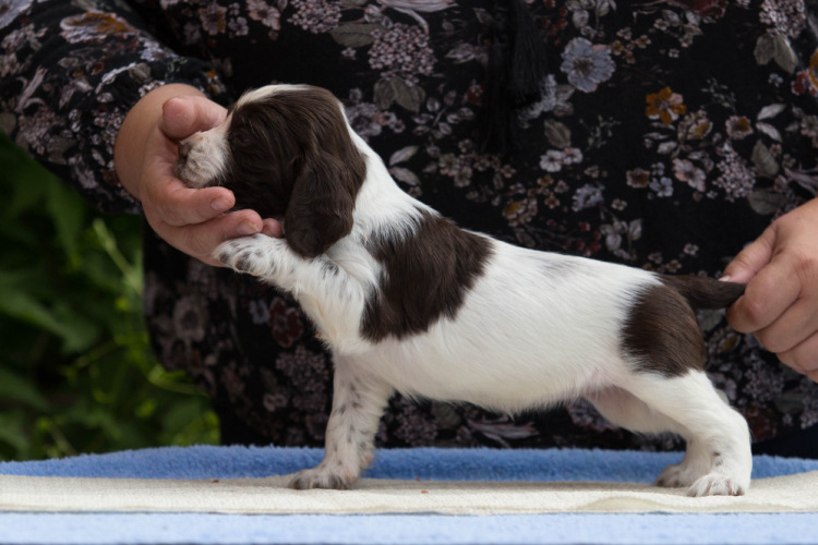 194947-3caab-103374873-m750x740-u5e7dd.j