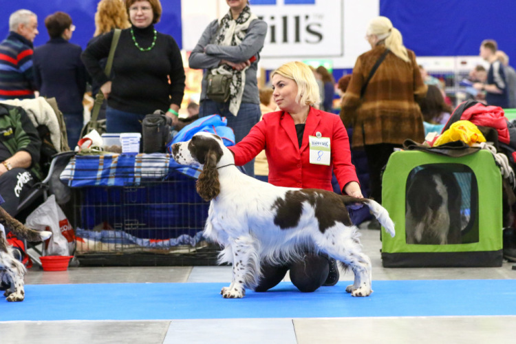 194947-4d713-105067112-m750x740-ue1f24.j