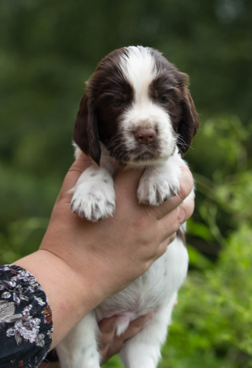 194947-51c22-103374864-m750x740-u826bd.j