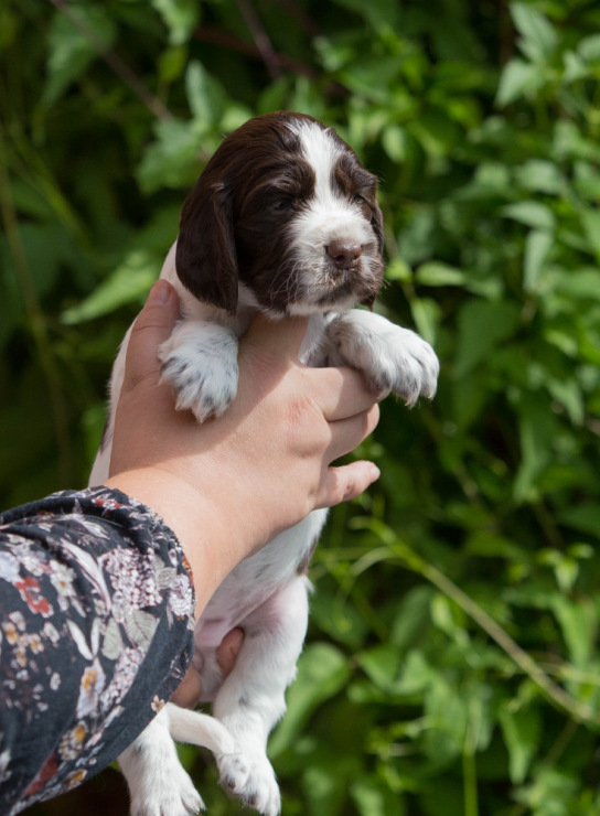 194947-58195-103374880-m750x740-ube72f.j