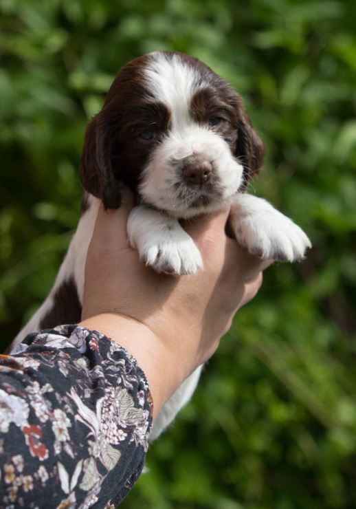 194947-717f1-103374870-m750x740-ud3e03.j