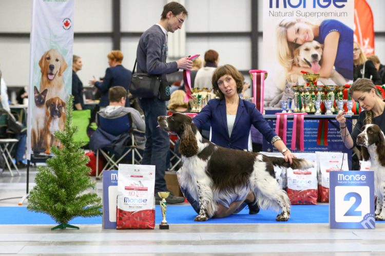 194947-799c6-105067121-m750x740-u3838c.j