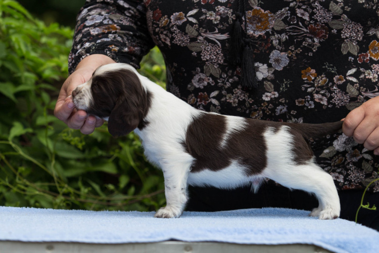 194947-8655a-103374863-m750x740-u2ccf8.j