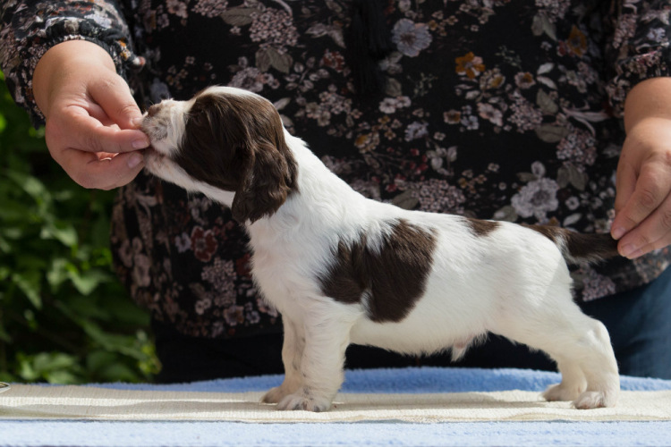 194947-8a6e8-103374869-m750x740-u8b830.j