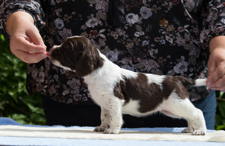 194947-8e80a-103374879-m750x740-ue20f3.j