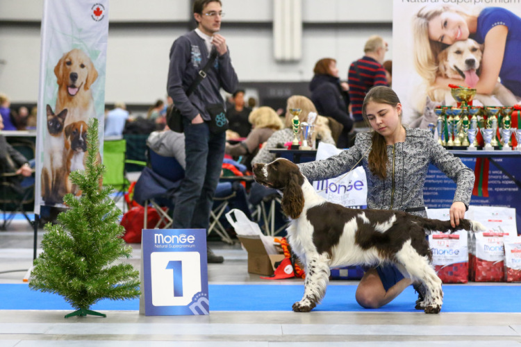 194947-9e4b1-105067111-m750x740-uf3710.j