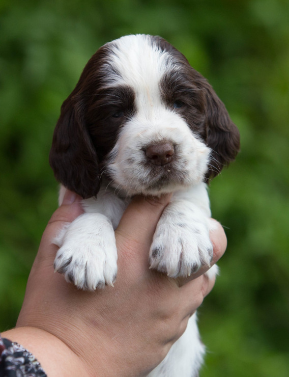 194947-a47fc-103374866-m750x740-u4e69a.j