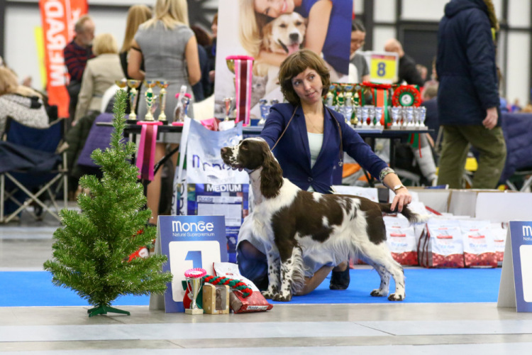 194947-b0fb2-105067123-m750x740-uebf25.j