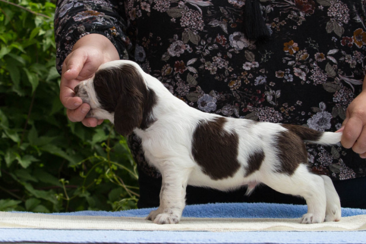 194947-b2f02-103374865-m750x740-u622c5.j