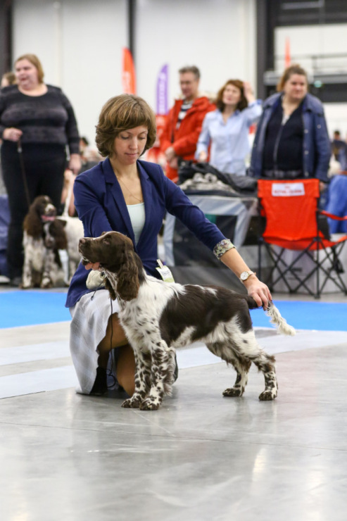 194947-cc1e2-105067090-m750x740-u1bb2f.j