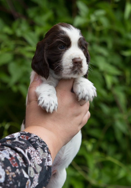 194947-d7576-103374876-m750x740-u8dccd.j