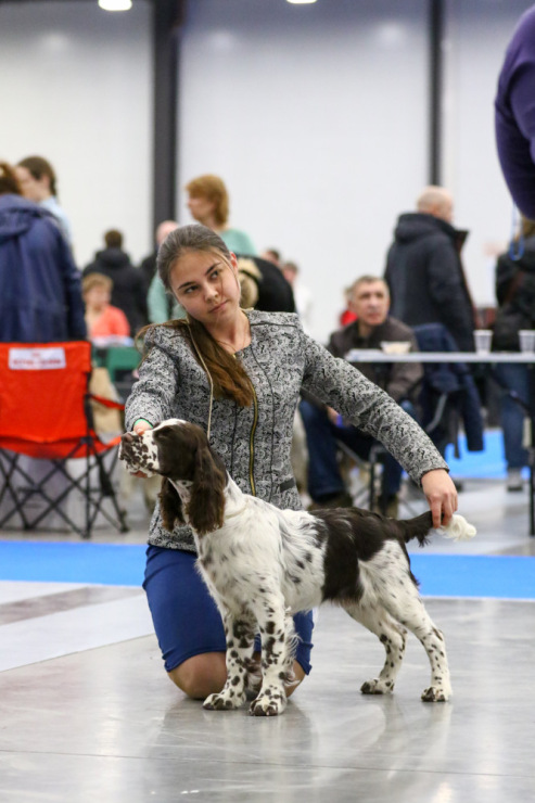 194947-dff11-105067094-m750x740-ub8691.j