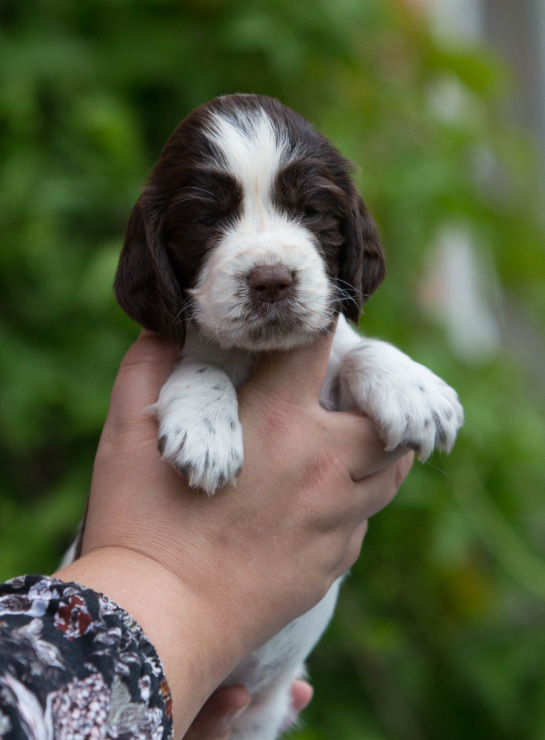 194947-e2cce-103374874-m750x740-u2568c.j