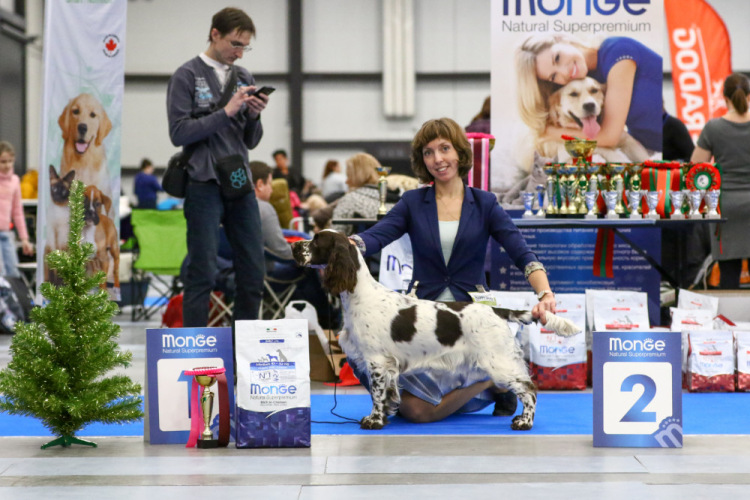 194947-e307c-105067125-m750x740-uf70c0.j